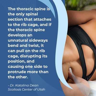 A visual representation of the quote from the text starting with “the thoracic spine is the only"