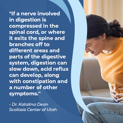 A visual representation of the quote from the text starting with “If a nerve involved in digestion"