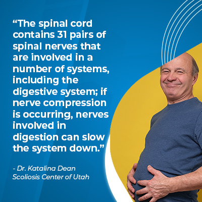 A visual representation of the quote from the text starting with “The spinal cord contains pairs"