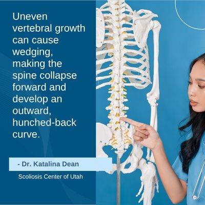 A visual representation of the quote from the text starting with “A healthy aligned spine has its vertebral"